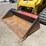 caterpillar-289d3-image-9
