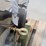 triton-5.4l-engine-image-20