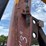 2019-jcb-8029cts-image-10