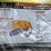 new-landhonor-co-22pc-poly-web-sling-set-model-lhr-ws22-image-2