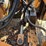 2006-case-586g-image-12