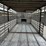 1977-wilson-livestock-trailer-image-12