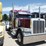 2021-peterbilt-389-image-3
