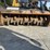 2020-caterpillar-299d3-xe-image-12