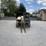 2019-gehl-rs5-19-image-7