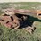 grapple-excavator-attachment-image-4