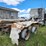 1993-freightliner-flc112-image-3