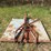 bush-hog-rebel-image-8