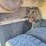 1970-fruehauf-dump-trailer,-32',-air-tailgate,-spring-ride,-full-frame,-grain-chute,-roll-tarp,-vin--639909-image-16