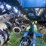 kinze-3600-image-13