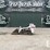 2005-bobcat-mt55-image-1