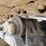 2018-doosan-dx300-ll-5-image-11