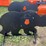 pabreak-bear-shaped-reactive-shooting-target-image-3