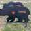 pabreak-bear-shaped-reactive-shooting-target-image-1