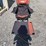 collapsible-camping-chair.-orange-brown.-comes-with-foot-stool-and-storage-bag!-image-1