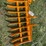 caterpillar-305-image-1