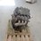 triton-5.4l-engine-image-4