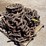 pallet-of-drive-chains-for-v-bottom-spreader-image-1