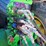 2022-john-deere-9520r-image-85