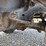 #50077-•-1968-kaiser-m715-4x4-utv-21487-inv#-50077-image-27