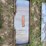 pabreak-qa-skid-steer-mount-plate-image-1