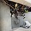 #50079-•-1939-diamond-t-s/a-truck-tractor-4061786-inv#-50079-image-76