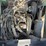 john-deere-gator-image-9