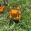 caterpillar-305-image-3