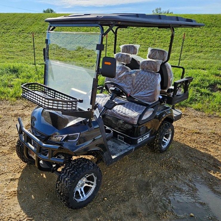 #317 • 2026 SD Lanch SDLGC80 Electric Golf Cart
