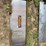 pabreak-qa-skid-steer-mount-plate-image-1