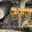 2020-caterpillar-303.5-image-29