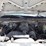 1999-chevrolet-1500-image-20