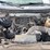 2011-ford-f150-image-5