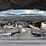 2017-ford-f550-image-10