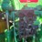 john-deere-8110-image-34