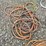 #4940-•-pile-of-hoses-and-extension-cords-image-10