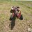 feterl-hydraulic-drive-8"x10'-truck-hopper-image-6