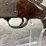 #3158-•-stevens-model:-94-12-ga-single-shot-break-action-shotgun,-sn:-nsn,-(downing,-wi)-image-13