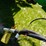 2012-john-deere-1770-image-16