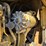 caterpillar-14e-image-62