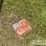 unused-2026-onshine-tie-down-straps-and-ratchet-straps,-1"-x-11.5',-10-pieces-image-2