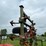 #4915-•-glencoe-field-cultivator-with-3-bar-harrow-image-19