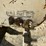 2003-bobcat-334d-image-28