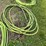 #4920-•-air-compressor-tank-with-(3)-hoses-image-4