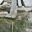 bobcat-bucket-attachment-image-9