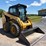 caterpillar-236d3-image-3