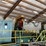 #181-•-2016-cleereman-lumber-pro-sawmill---dunaway-timber-image-14