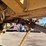 caterpillar-14e-image-20