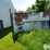 cattle-sorting-tub-w/10'-gate-image-9