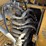 caterpillar-308e2-cr-image-52
